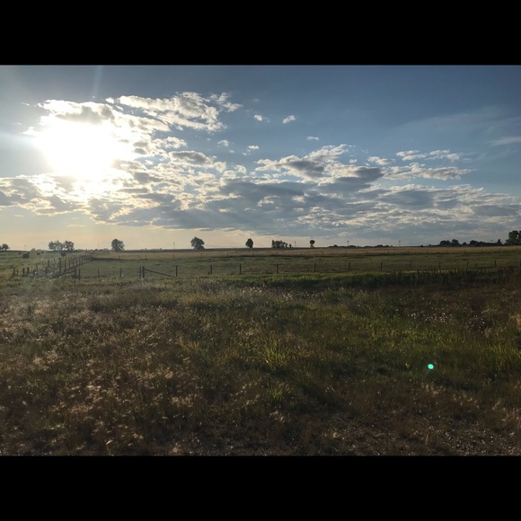 Meet your Posher, Michaela - Picture 1 of 1